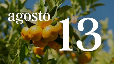 13 AGOSTO