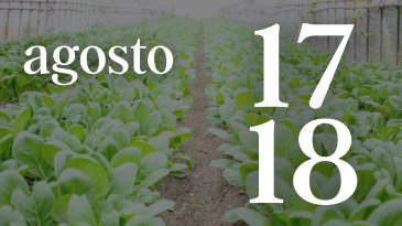 17 Y 18 AGOSTO