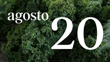 20 AGOSTO