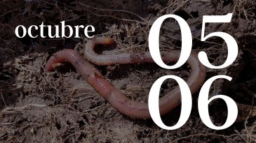 05 y 06 OCTUBRE